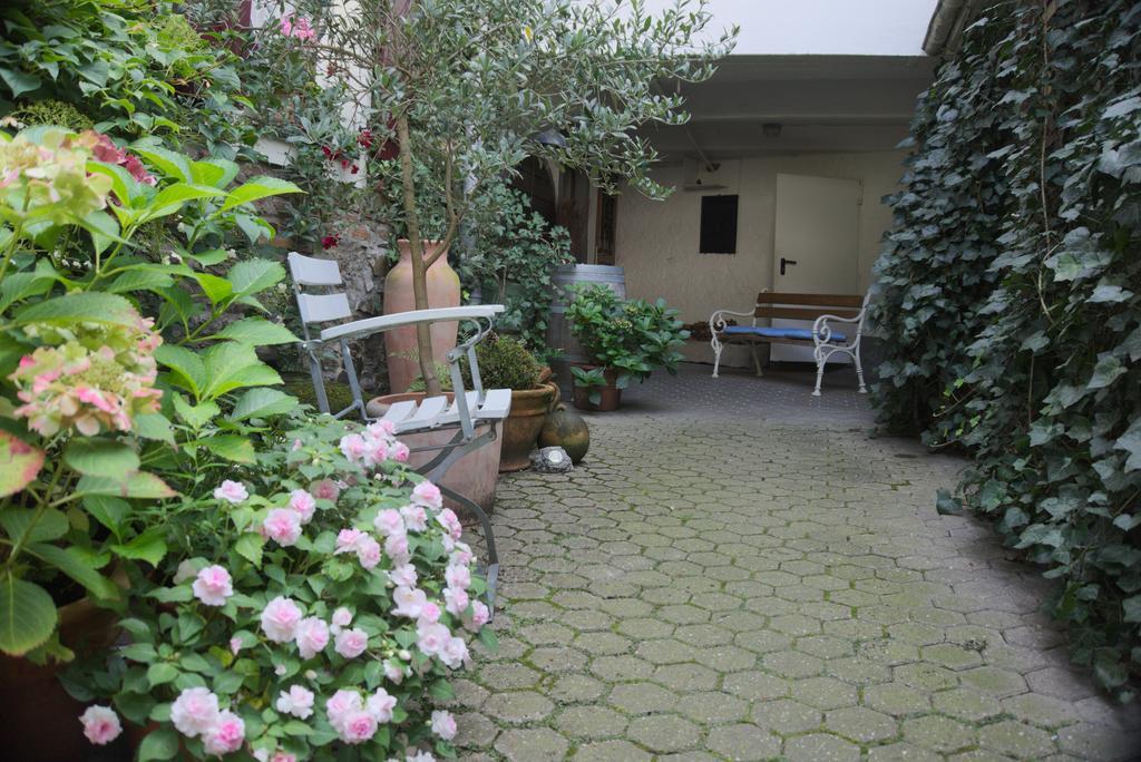 Hotel Garni Altes Winzerhaus Moselschaenke Kobern-Gondorf Exterior foto